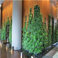 贵阳绿植墙安装，贵州绿植墙安装 