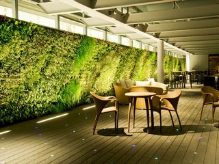 酒店 餐厅植物墙 