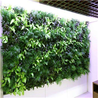 贵阳植物墙 