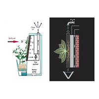 打造一面合格的植物墙影响因素有哪些？