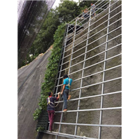 挡墙护坡立体绿化 