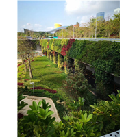 贵阳室外植物墙 