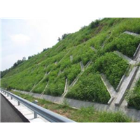 挡墙护坡立体绿化 