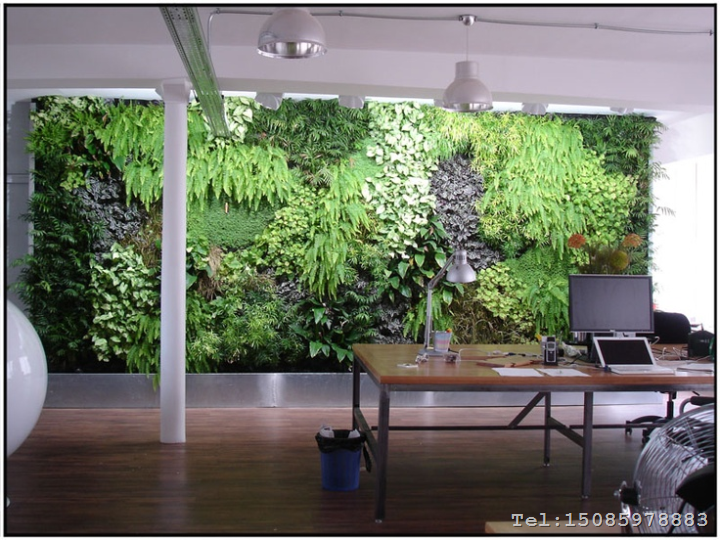 生态植物墙|立体绿化 