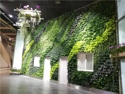 贵州植物墙注意事项 