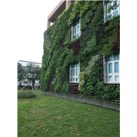 贵州贵阳植物墙美学欣赏 