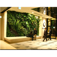 贵阳办公室植物墙 