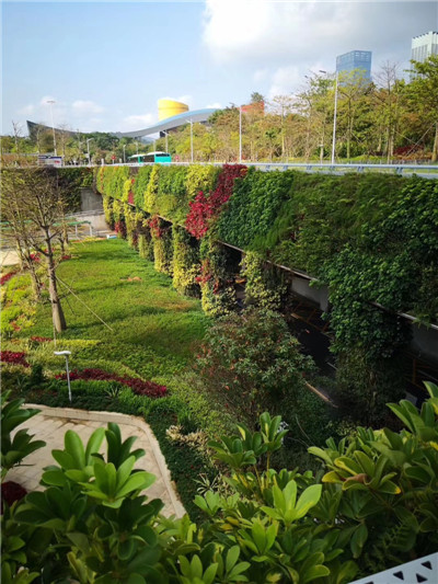 贵阳室外植物墙 