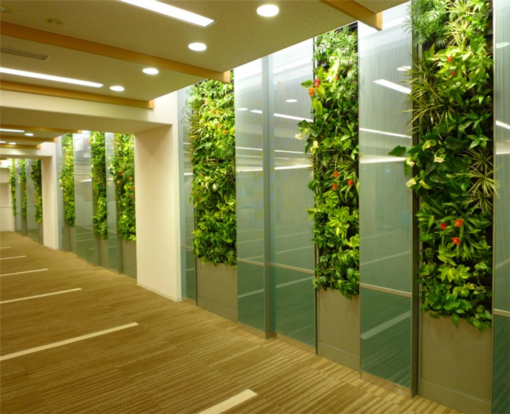 贵阳走廊过道植物墙 