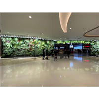 植物墙常用设计方法