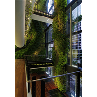 植物墙光合作用补光系统