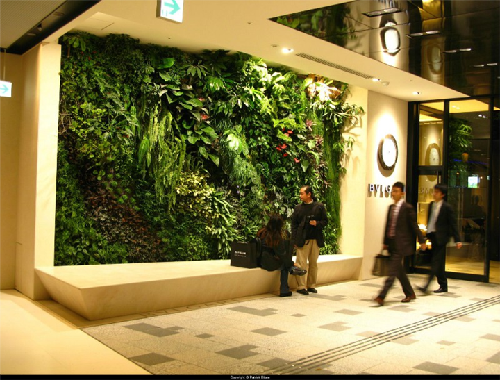 贵阳办公室植物墙 