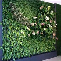 贵阳绿植墙、贵州植物墙安装 