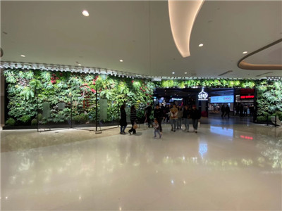 城市为何需要大力推广植物墙