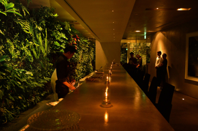 酒店 餐厅植物墙