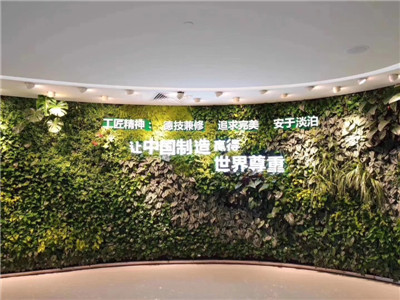 贵州贵阳植物墙 