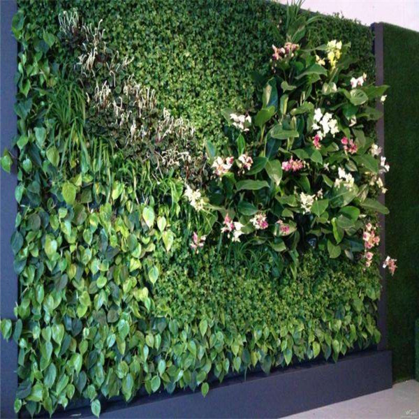 贵阳绿植墙、贵州植物墙安装 