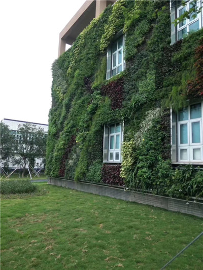 贵州贵阳植物墙美学欣赏 