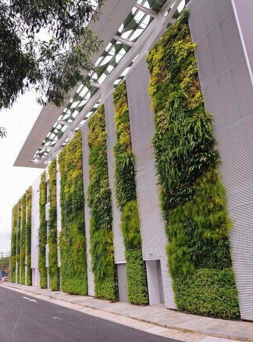 外墙绿植墙 
