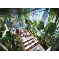 绿色可循环植物墙空中花园