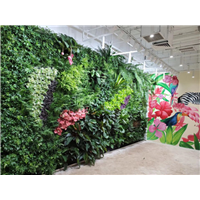 植物墙的三宜三忌