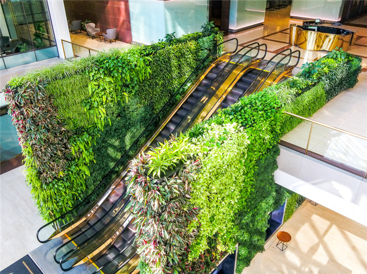植物墙高端设计及施工一体化技术流程 