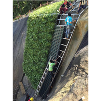贵阳护坡植物墙 