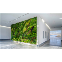 室内植物墙打造秘籍 