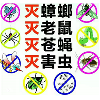 内蒙古灭四害