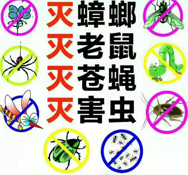 内蒙古灭四害