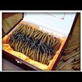长沙同仁堂总统牌回收|湖南冬虫夏草回收价格 