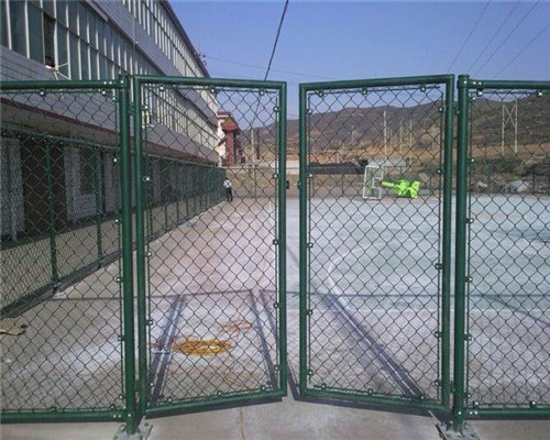 体育围网