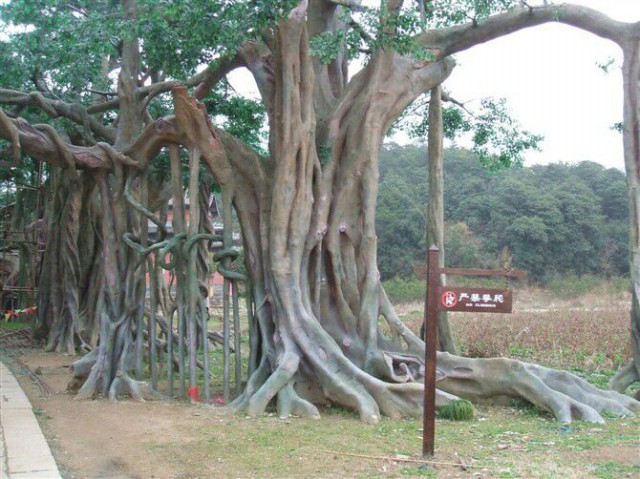 我的仿真树作品