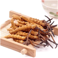 江阴冬虫夏草回收
