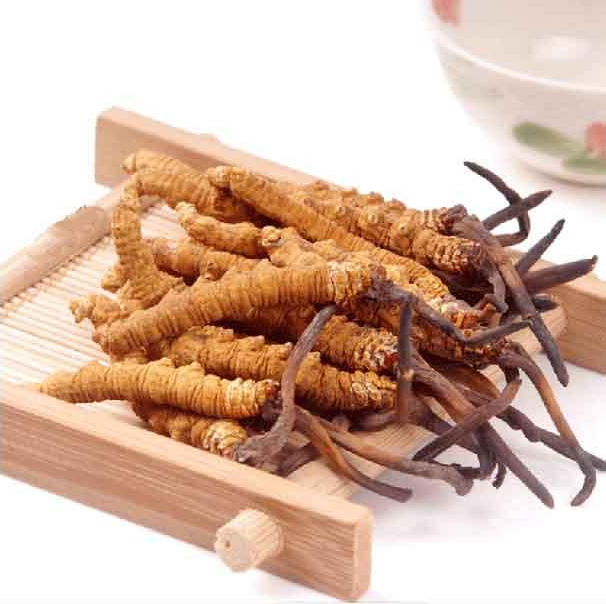 江阴冬虫夏草回收