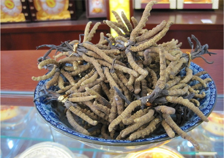 江阴冬虫夏草回收