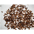 兰州灭鼠/兰州灭鼠公司/兰州专业灭鼠3