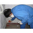 兰州专业灭鼠/兰州灭蟑螂/兰州超市灭鼠1