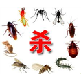 兰州杀虫公司/兰州杀虫/兰州灭鼠公司