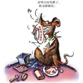 兰州灭鼠/兰州灭鼠公司/兰州专业灭鼠4