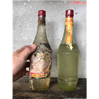 溪湖区虫草回收
