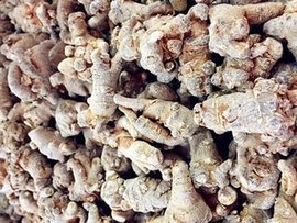 昆明哪里收购三七 