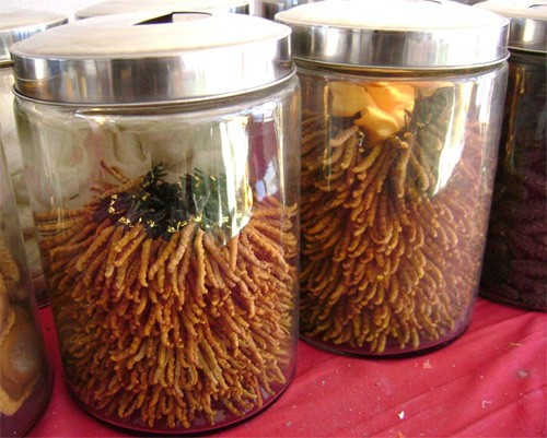 沈阳烟酒虫草回收