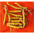 沈阳烟酒虫草回收