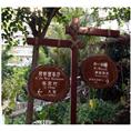唐山碳化木