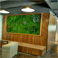 海南植物墙