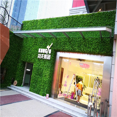 海南植物墙