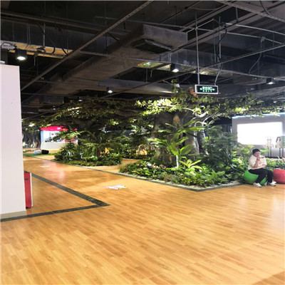 海口植物墙