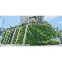 多彩贵州城植物墙项目