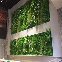 海南植物墙